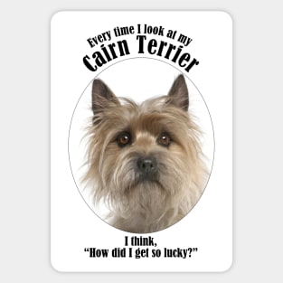 Lucky Cairn Terrier Sticker